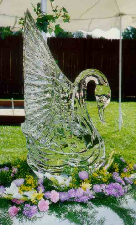 Shimmering Swan � Our most popular carving, very elegantly done with lots of detail that really brings it to life.